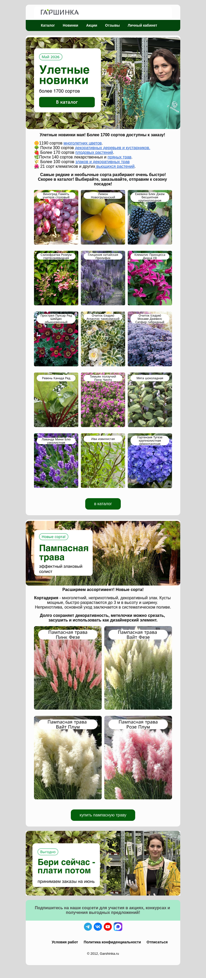 Письмо компании «Гаршинка.ру» на тему «💪Это сильно! Обновили каталог на май! Более 1700 сортов!🤩»