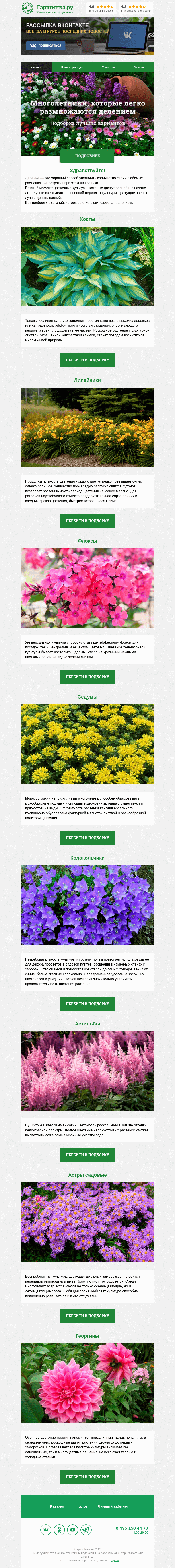 Письмо компании «Гаршинка.ру» на тему «🌼🌱🌷 Многолетники, которые легко размножаются делением»