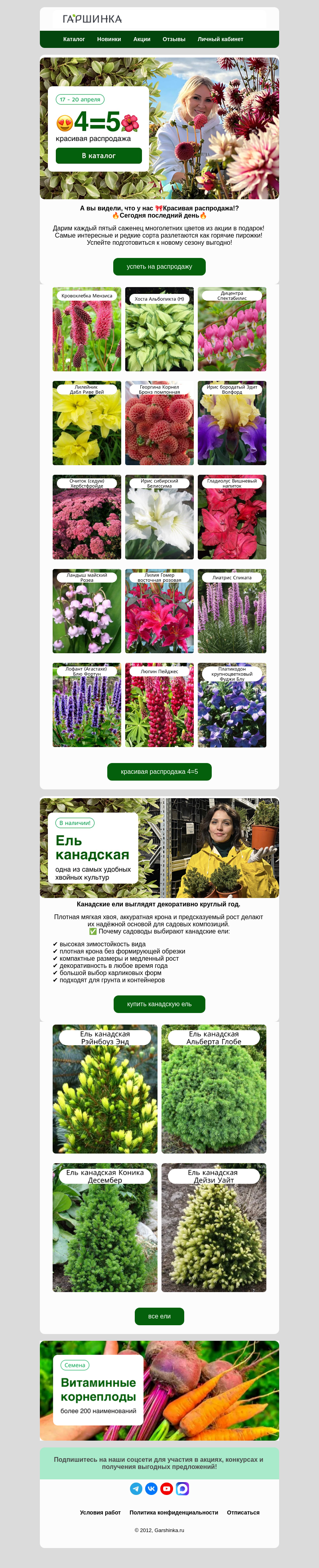 Письмо компании «Гаршинка.ру» на тему «📢Закрываем распродажу через пару часов! Успевайте!🕥»