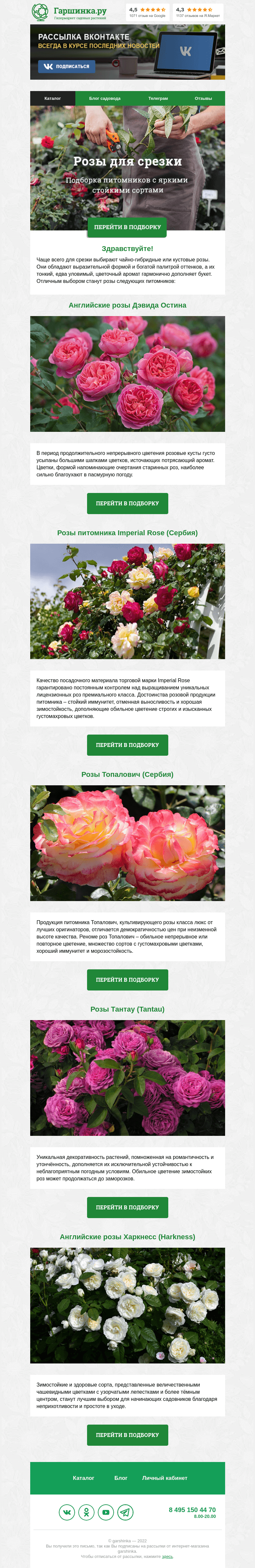 Письмо компании «Гаршинка.ру» на тему «🌹🌹🌹 Розы для срезки»