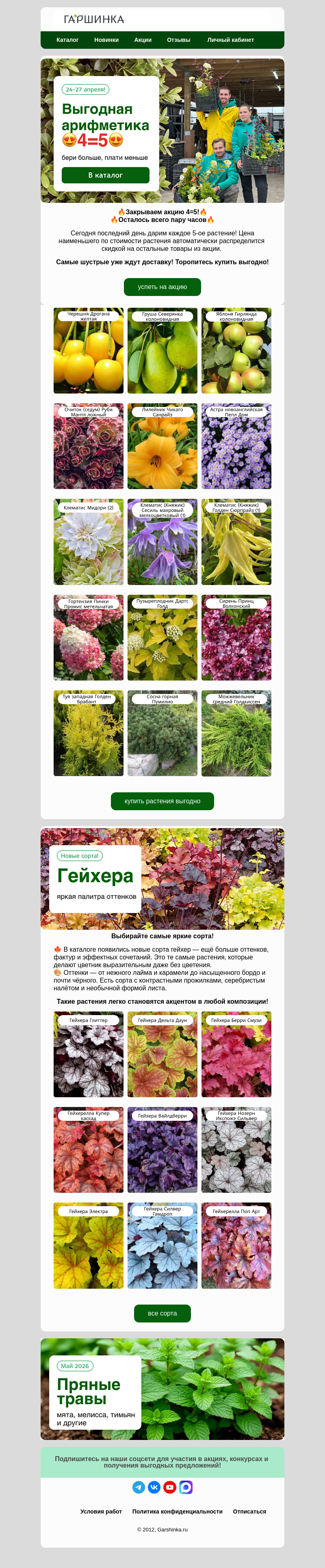 Письмо компании «Гаршинка.ру» на тему «🏃‍♂️Торопитесь! Закрываем 4=5!🔥»