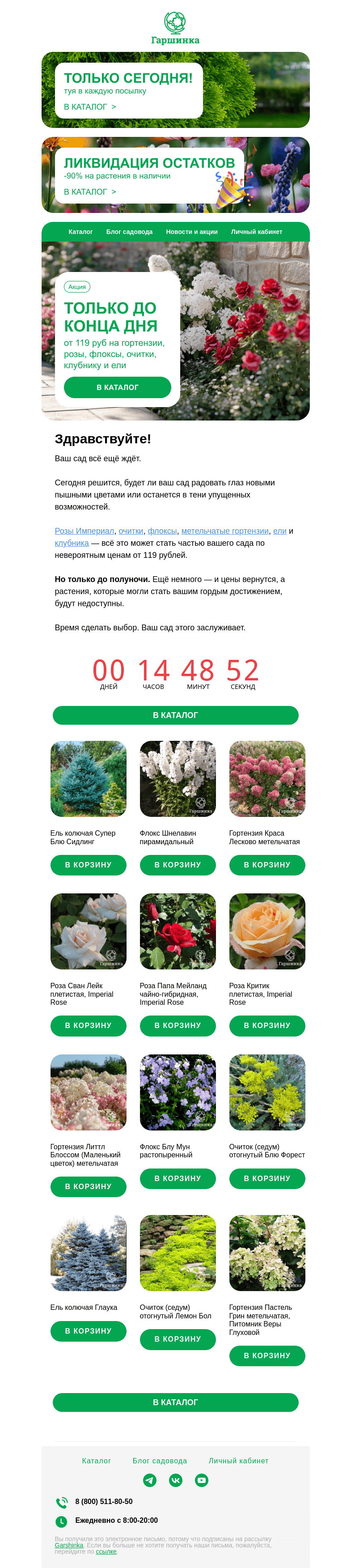 Письмо компании «Гаршинка.ру» на тему «😱🕓 Считанные часы! От 119₽ на розы Империал, флоксы, гортензии и  др.»