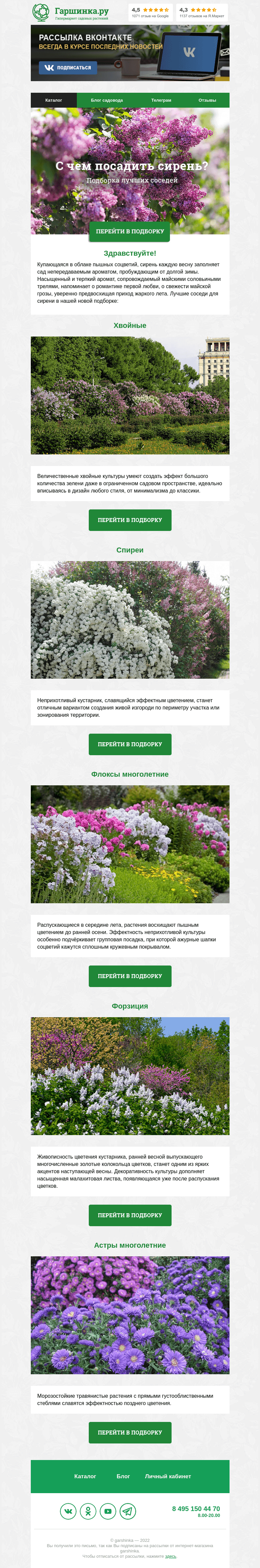 Письмо компании «Гаршинка.ру» на тему «🌳🌿🌸 С чем посадить сирень?»