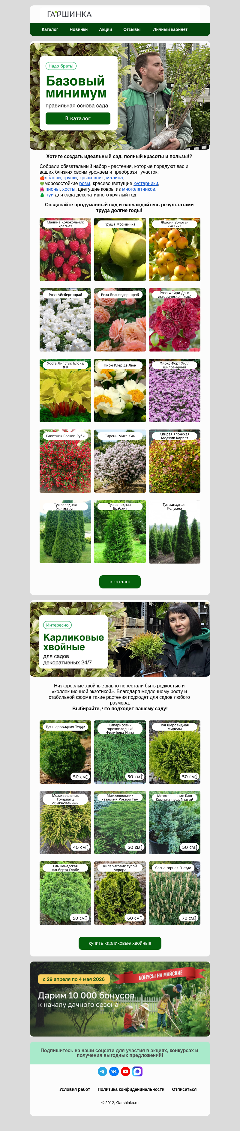 Письмо компании «Гаршинка.ру» на тему «😎Базовый минимум для сада! Используйте бонусы!🎁»
