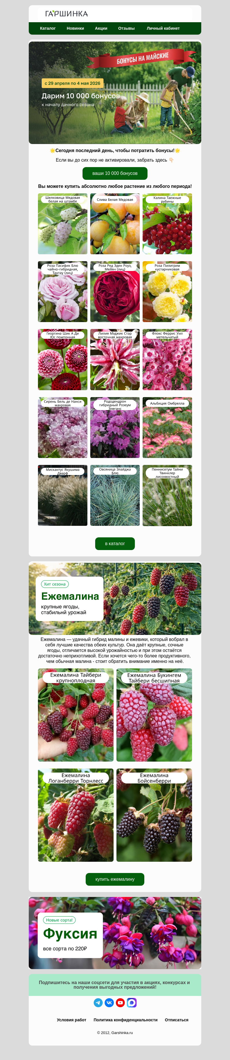 Письмо компании «Гаршинка.ру» на тему «🌟Бонусы сгорят сегодня! Успейте воспользоваться!🌟»