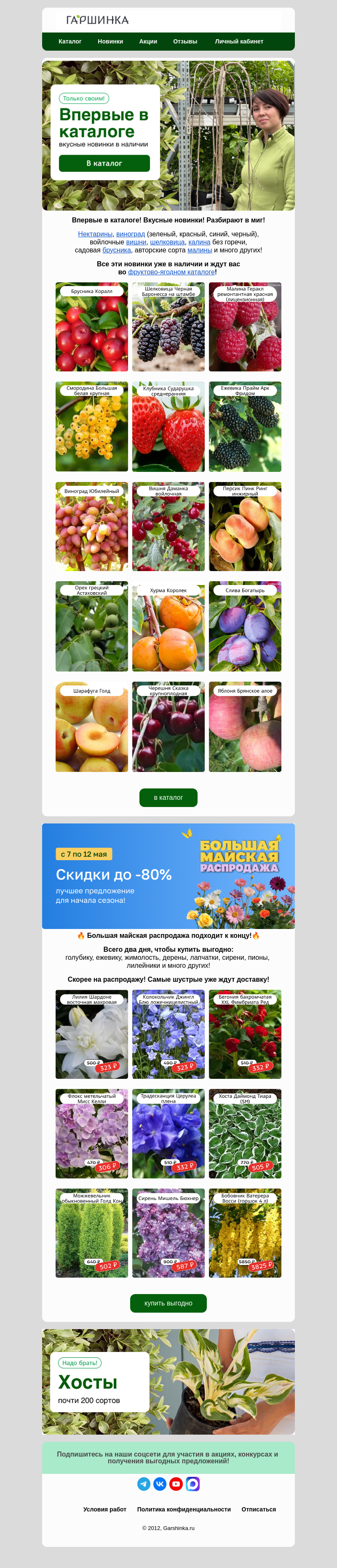 Письмо компании «Гаршинка.ру» на тему «🚚Новинки подъехали! Эксклюзивные сорта😍»