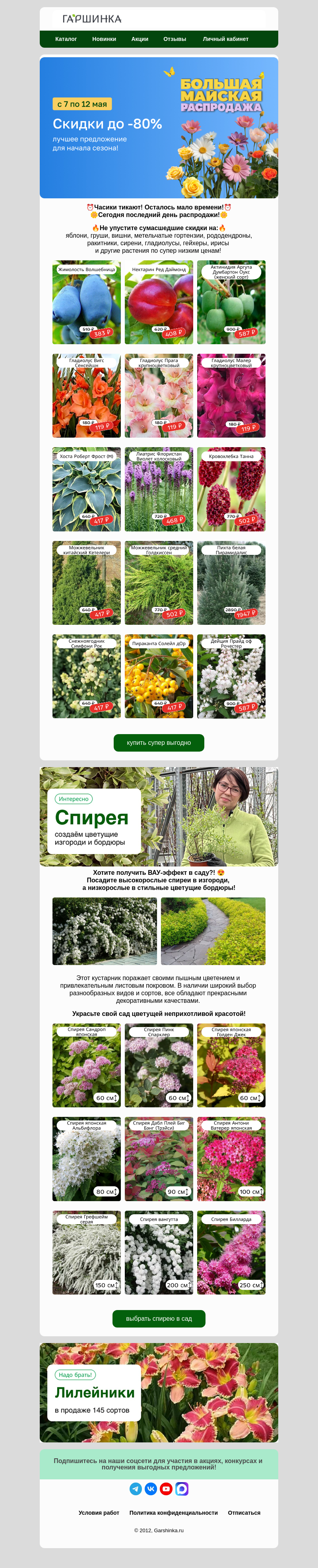 Письмо компании «Гаршинка.ру» на тему «⏰Часики тикают! Успейте на распродажу!🏃»