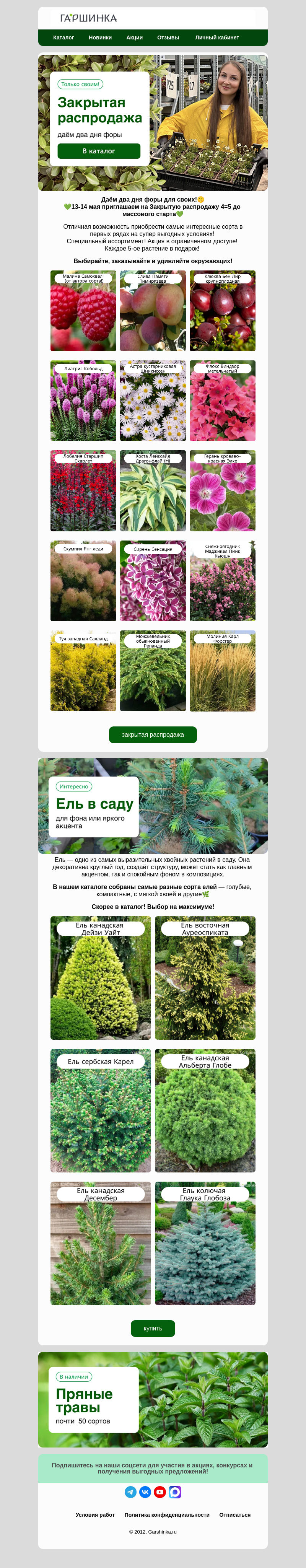 Письмо компании «Гаршинка.ру» на тему «🤫Закрытая распродажа❗Только своим❗»