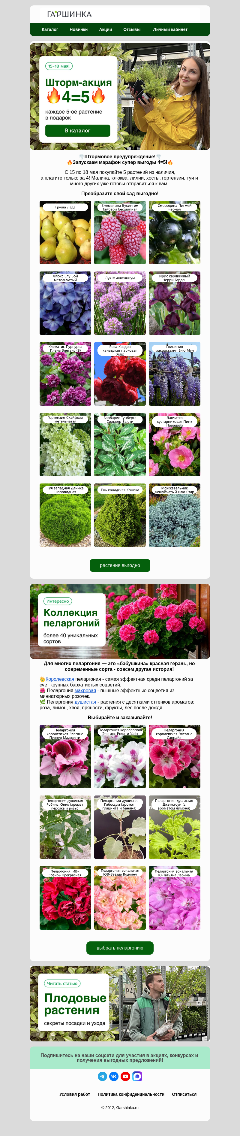Письмо компании «Гаршинка.ру» на тему «🌪️Шторм-акция 4=5⚡Выбор еще больше!»