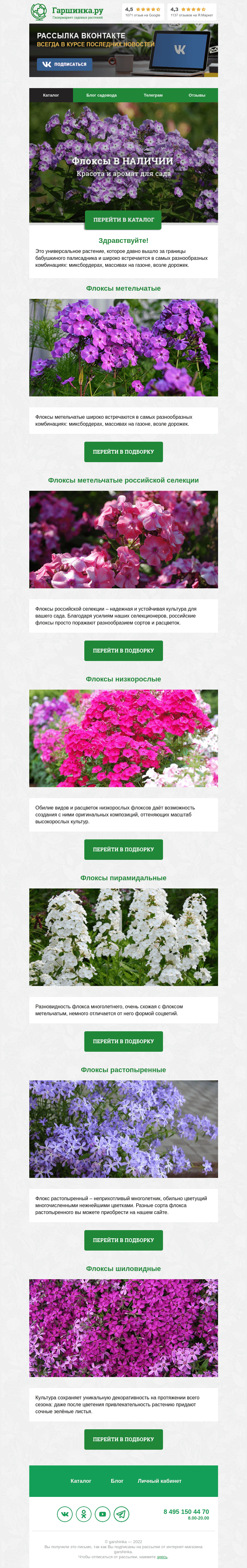 Письмо компании «Гаршинка.ру» на тему «🌱🌸🍃 Флоксы В НАЛИЧИИ»