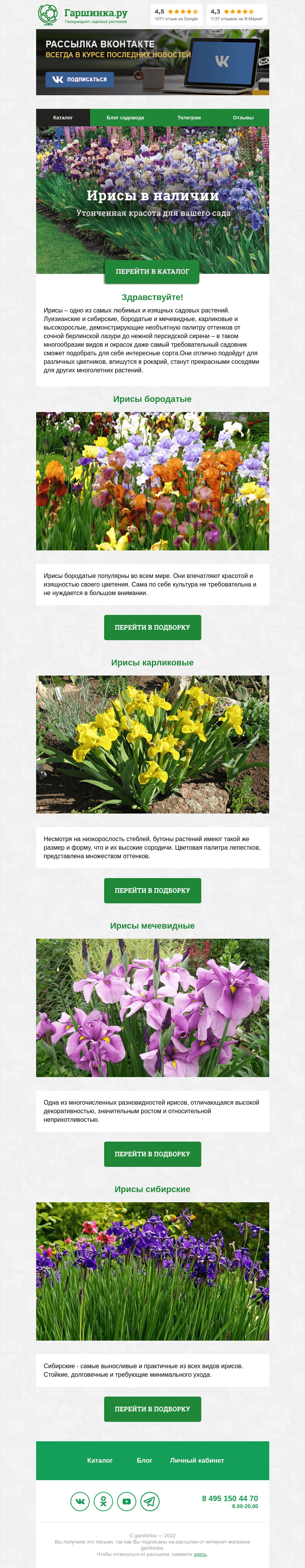 Письмо компании «Гаршинка.ру» на тему «🌿🌺🍃 Ирисы В НАЛИЧИИ»