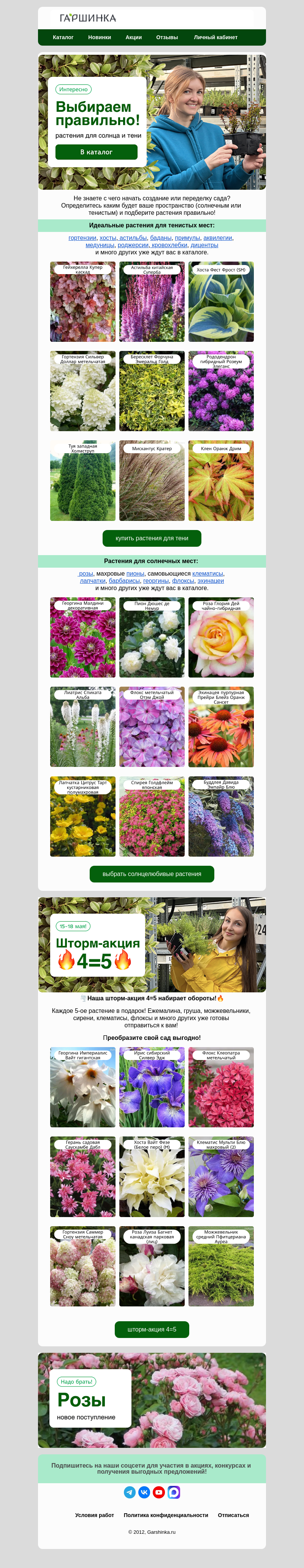Письмо компании «Гаршинка.ру» на тему «👍Правильный выбор!🌻Растения для солнца и тени»