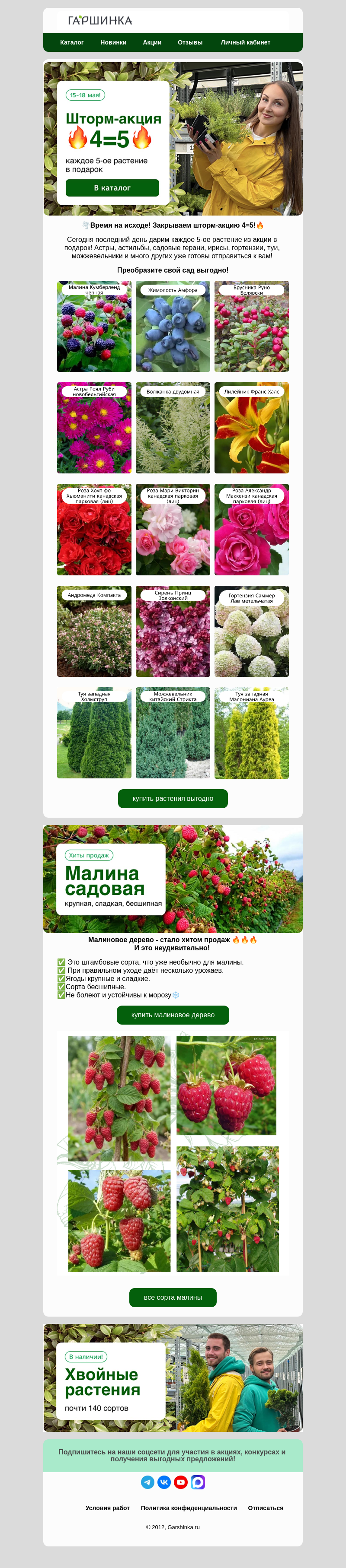 Письмо компании «Гаршинка.ру» на тему «🕐Время на исходе! Закрываем шторм-акцию!🌪️»