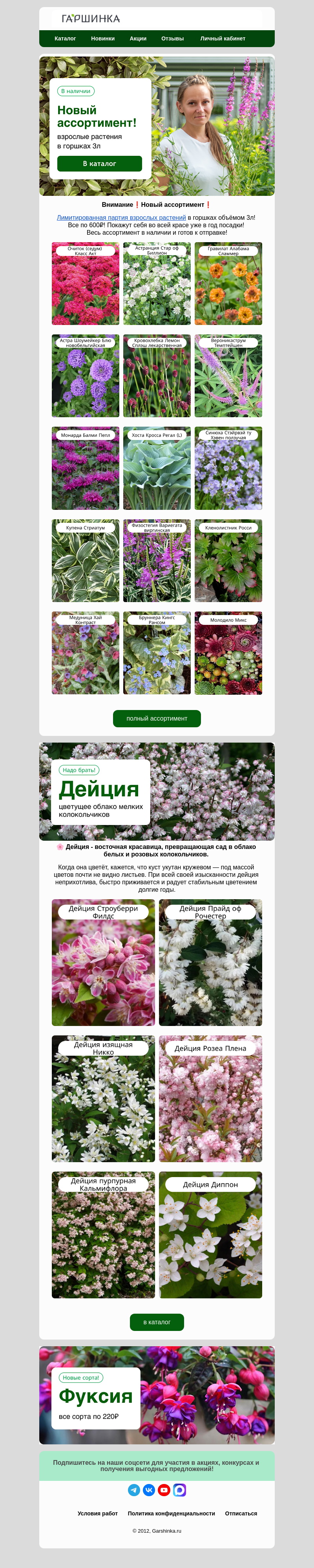 Письмо компании «Гаршинка.ру» на тему «😎Взрослые растения по 600₽🌟Новый ассортимент»