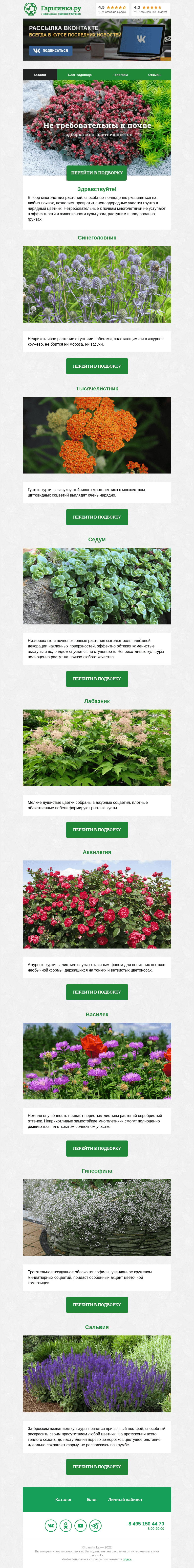 Письмо компании «Гаршинка.ру» на тему «🌿 Подборка растений, нетребовательных к почве»