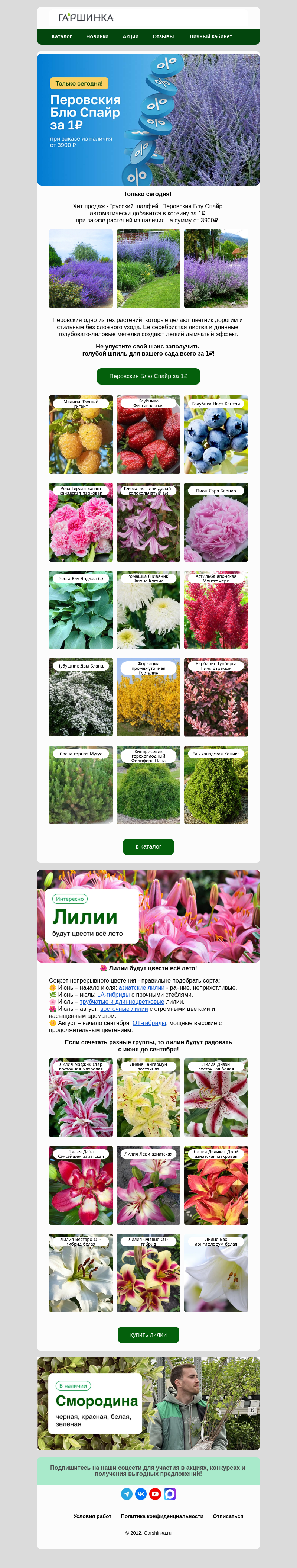 Письмо компании «Гаршинка.ру» на тему «🤩Только сегодня! Лиловое чудо за 1₽!»