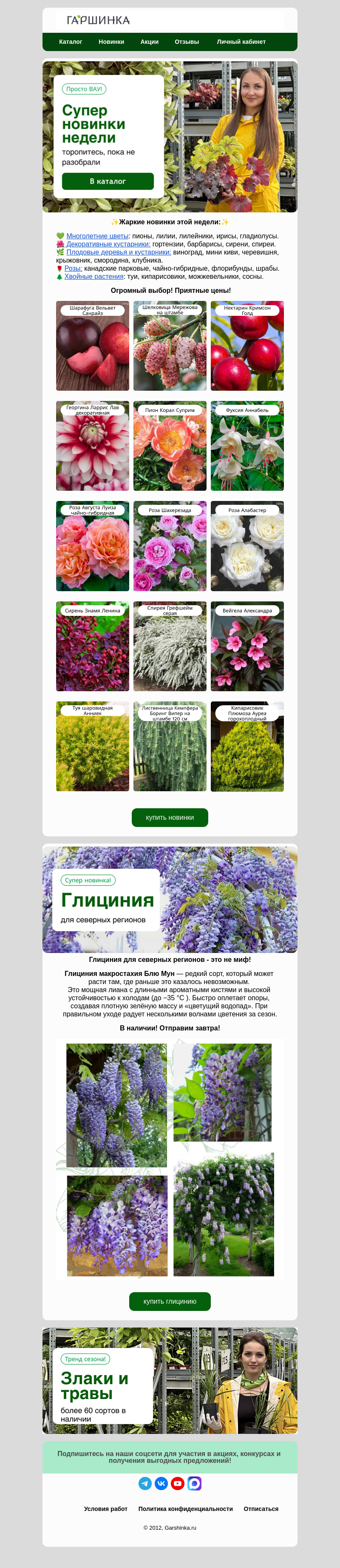 Письмо компании «Гаршинка.ру» на тему «🔥Жаркие новинки этой недели!»