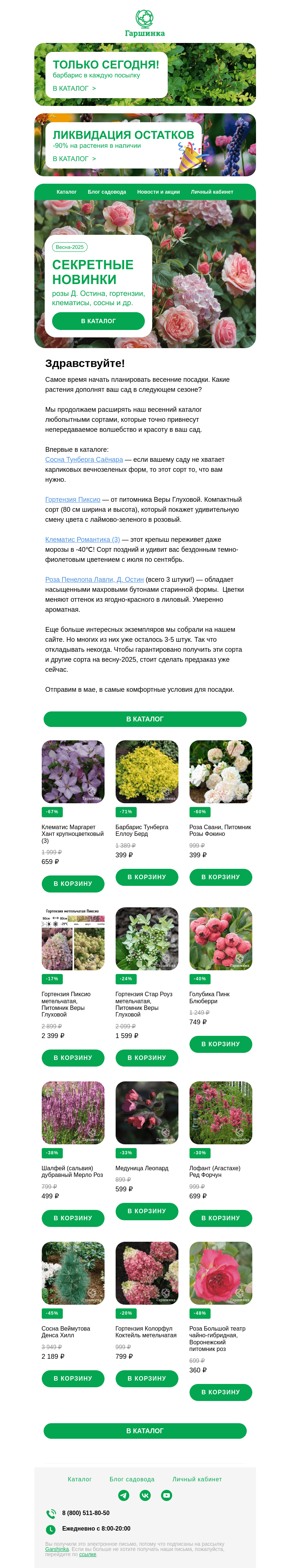 Письмо компании «Гаршинка.ру» на тему «🌸 🤫 Секретные новинки каталога: розы Остина, гортензии, клематисы, сосны и др.»