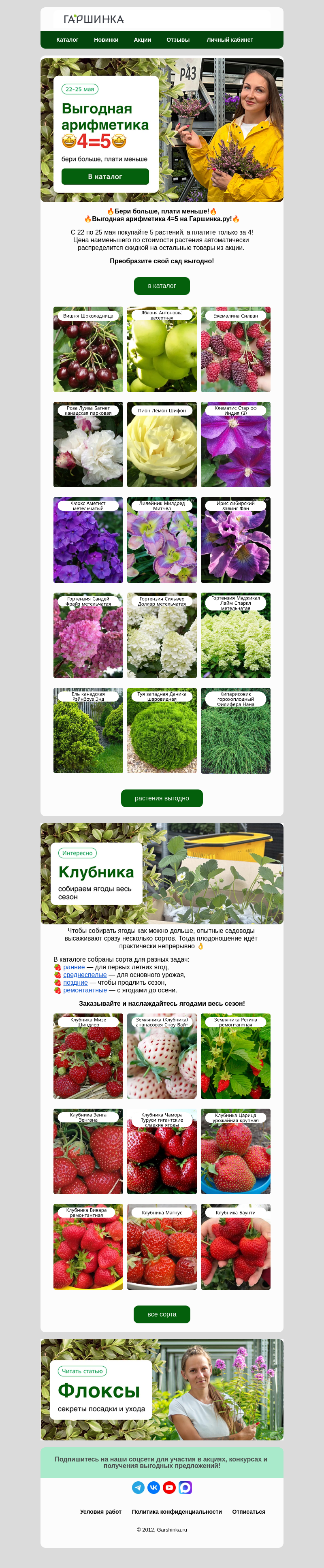 Письмо компании «Гаршинка.ру» на тему «✨Супер выгода! 4=5 на растения в наличии!🤩»