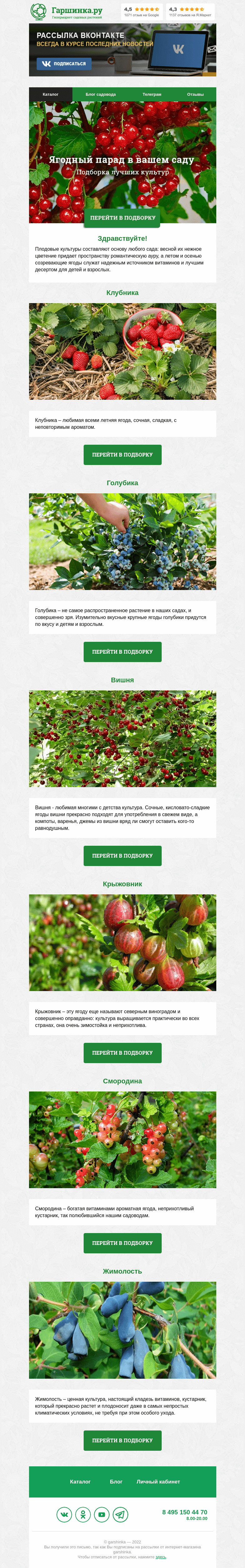 Письмо компании «Гаршинка.ру» на тему «🍒🍓🍈 Ягодный парад в вашем саду»