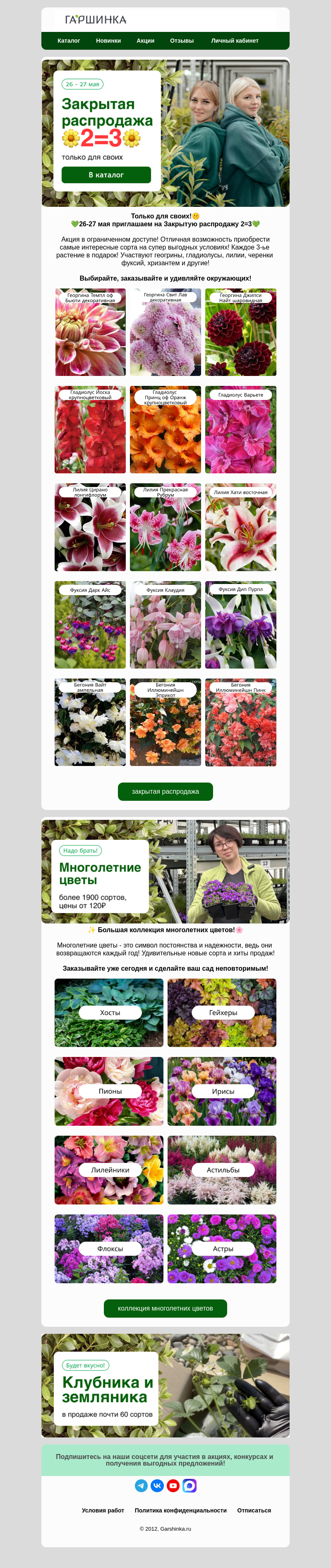 Письмо компании «Гаршинка.ру» на тему «🤫Только своим 2=3! Закрытая распродажа!💚»