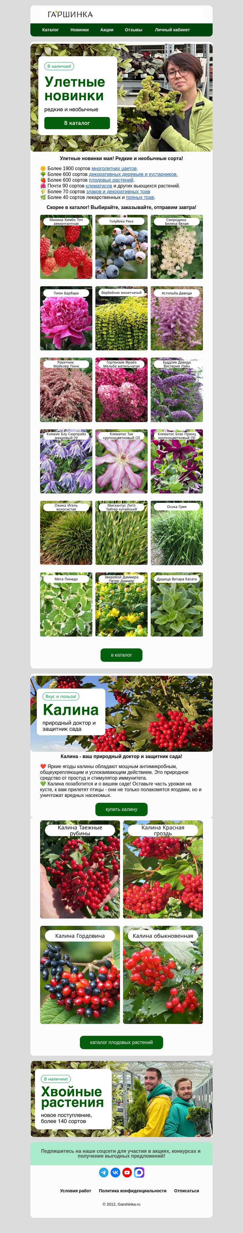 Письмо компании «Гаршинка.ру» на тему «🤩✨Улетные новинки мая! Редкие и необычные!»
