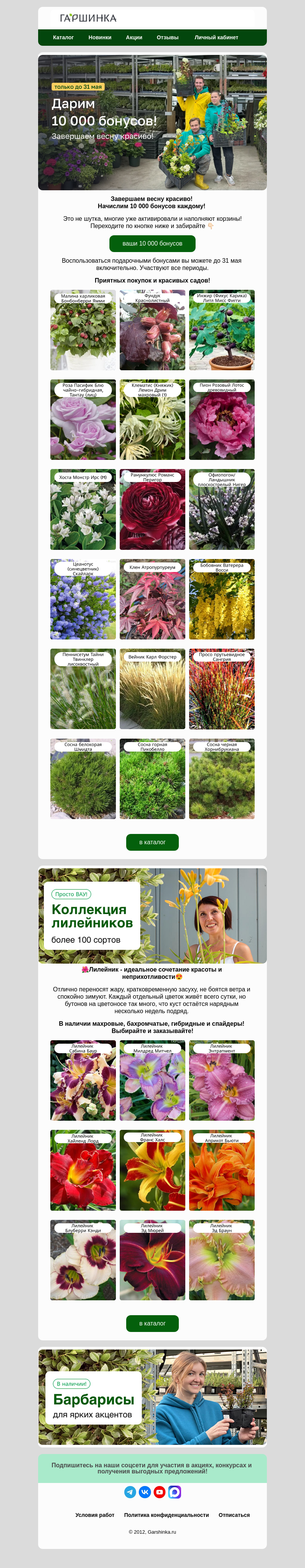 Письмо компании «Гаршинка.ру» на тему «🔥Для вас 10 000 бонусов! Активируйте и покупайте!»