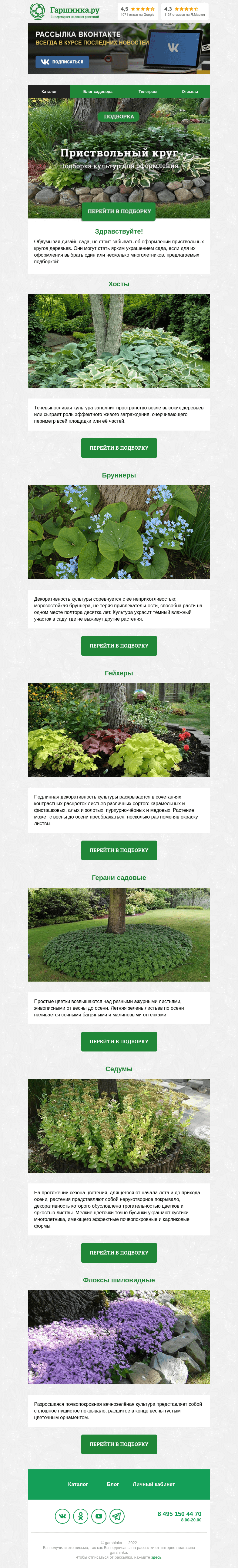 Письмо компании «Гаршинка.ру» на тему «🌳🌸🌿🌼 Растения для оформления приствольных кругов»