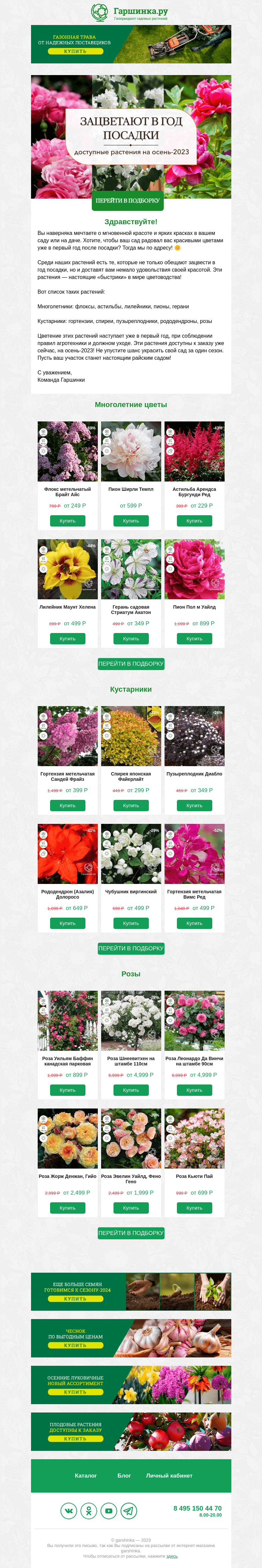 Письмо компании «Гаршинка.ру» на тему «🌸 Сразу в цвет: растения, которые зацветают в год посадки!»