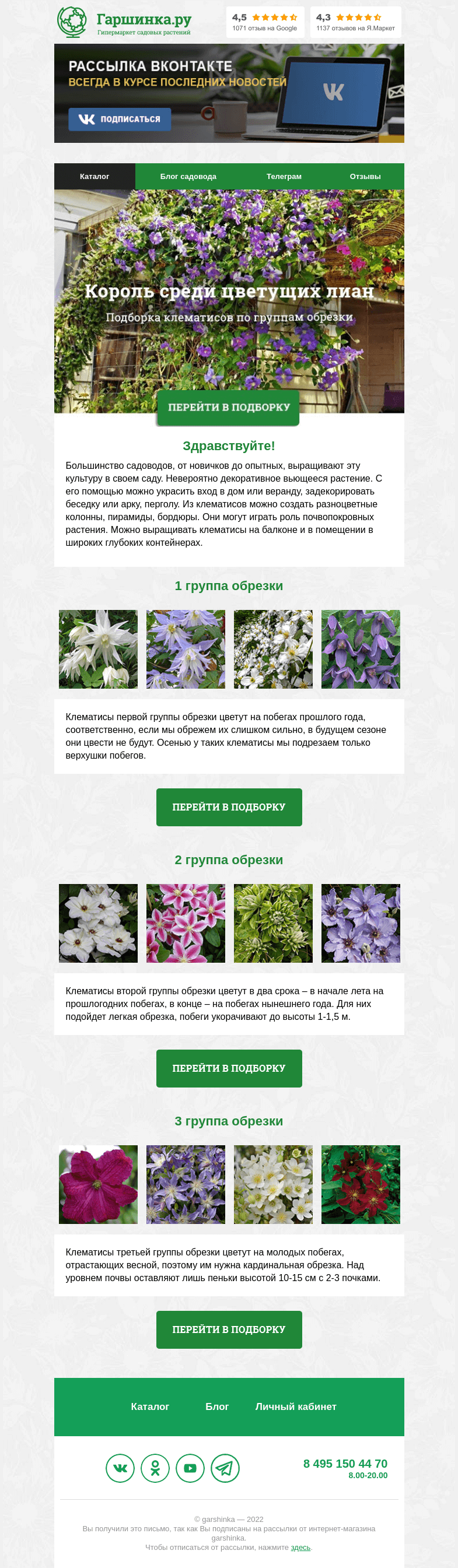 Письмо компании «Гаршинка.ру» на тему «🌸🌿🌼 Король среди цветущих лиан»