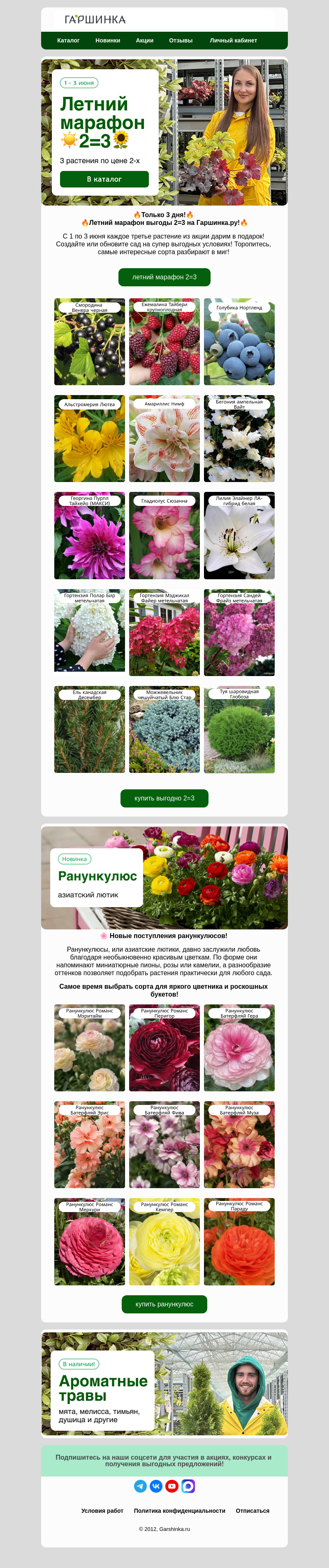 Письмо компании «Гаршинка.ру» на тему «☀️🌻Летний марафон 2=3! 3 по цене 2-х!»
