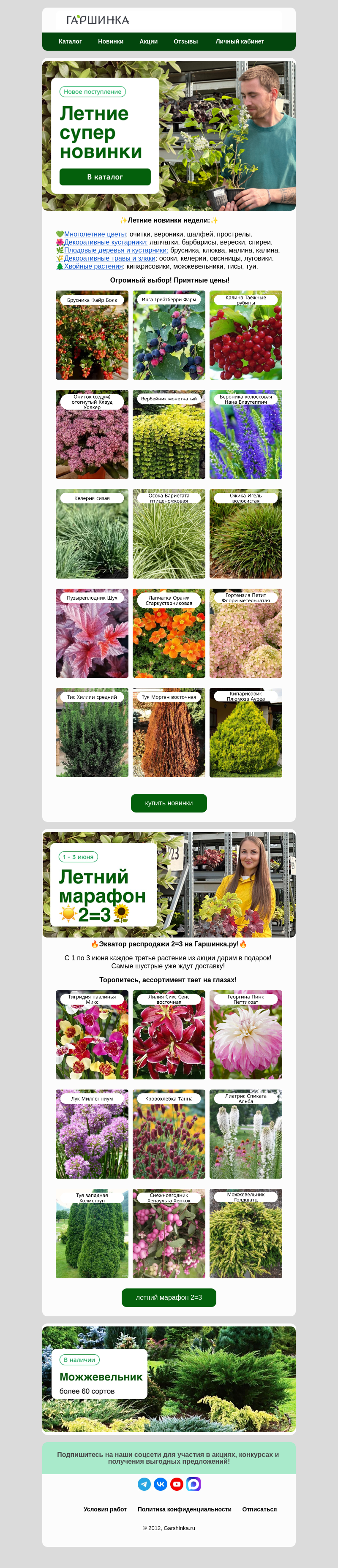 Письмо компании «Гаршинка.ру» на тему «💚Новый летний ассортимент! Уже в наличии!»