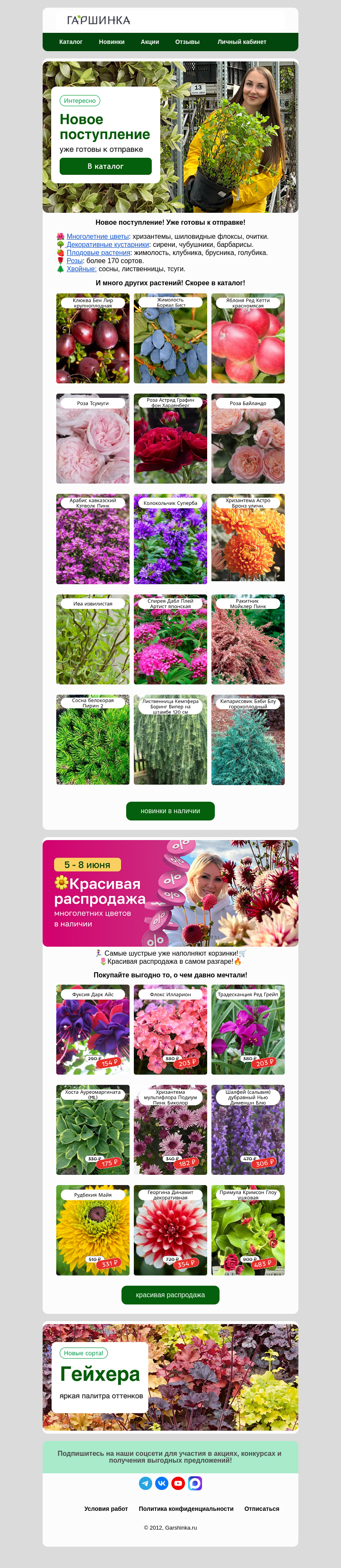 Письмо компании «Гаршинка.ру» на тему «✨Новое поступление! Уже готовы к отправке!📦»