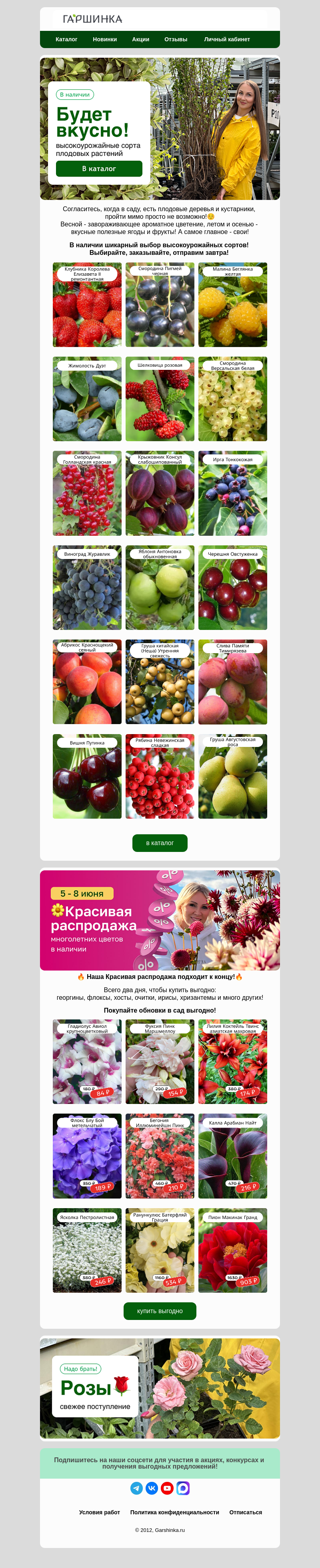 Письмо компании «Гаршинка.ру» на тему «😋Будет вкусно! Высокоурожайные сорта плодовых🍏🍓»