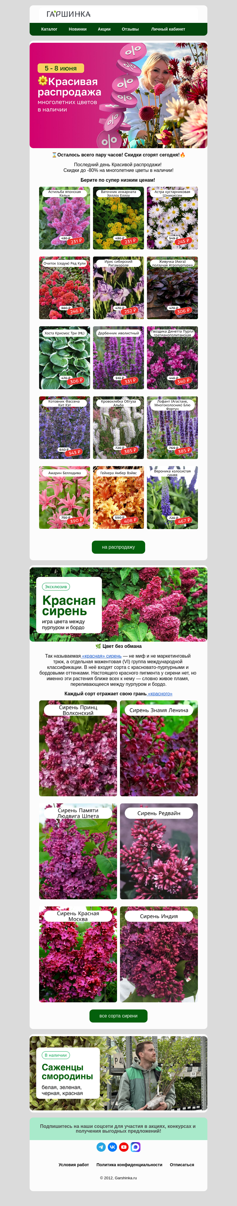 Письмо компании «Гаршинка.ру» на тему «🔥Скидки сгорят сегодня! Закрываем распродажу!🔥»