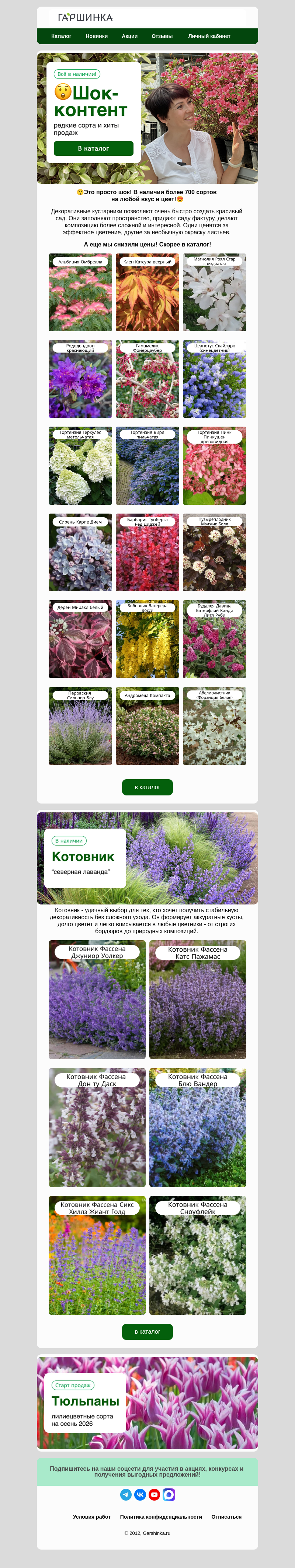 Письмо компании «Гаршинка.ру» на тему «😲Шок-контент! Снижаем цены!🍃»
