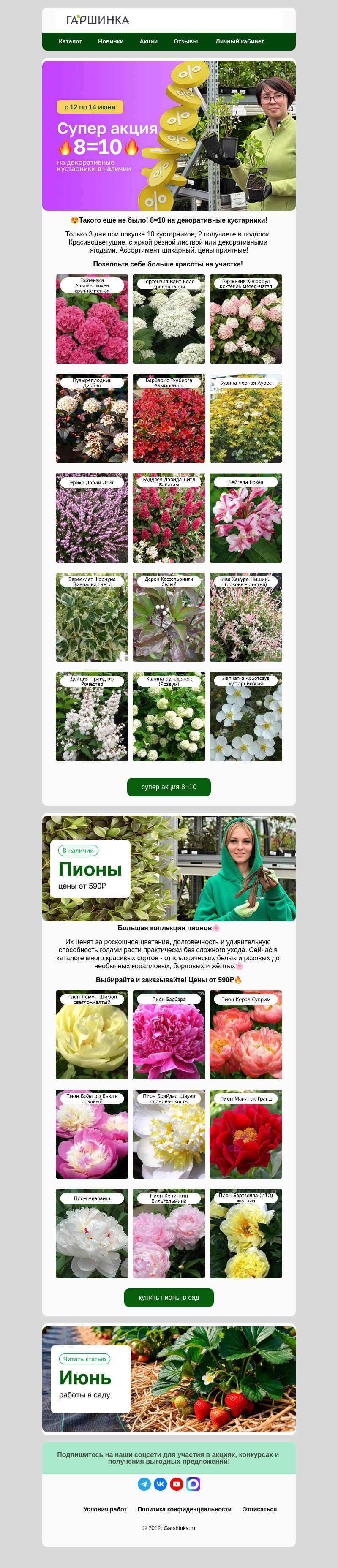 Письмо компании «Гаршинка.ру» на тему «🎉Такого еще не было! 8=10 на декоративные кустарники🤩»