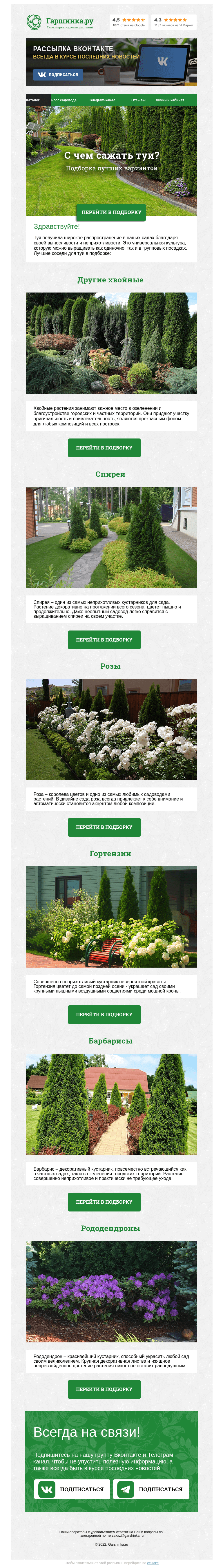 Письмо компании «Гаршинка.ру» на тему «🌲 С чем посадить туи?»