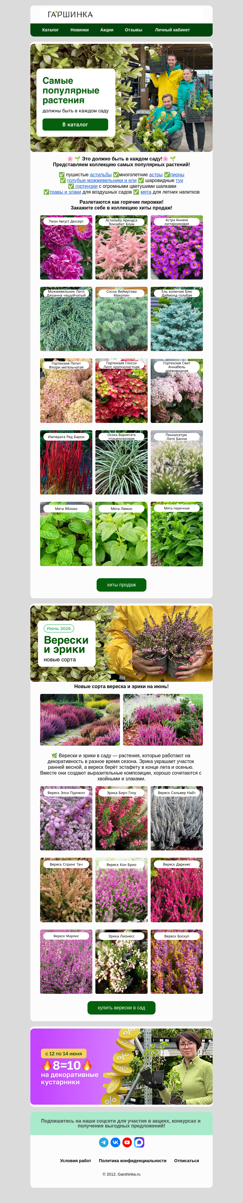 Письмо компании «Гаршинка.ру» на тему «😎Их хотят все👩🏻‍🌾Самые популярные растения!»