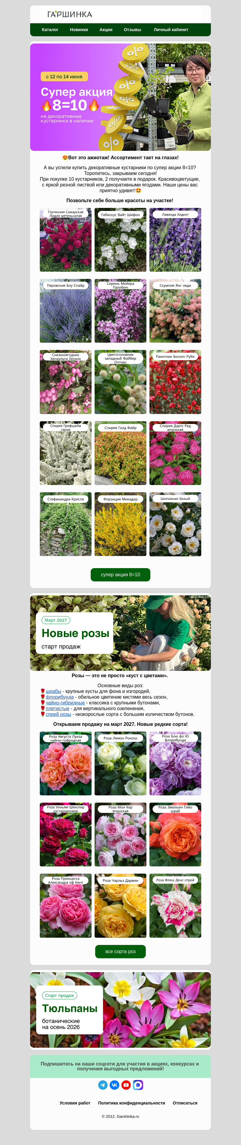 Письмо компании «Гаршинка.ру» на тему «📢Закрываем 8=10 через пару часов⏰»