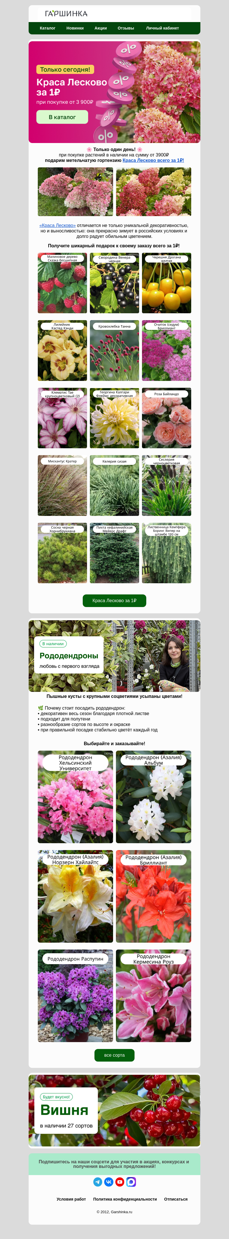 Письмо компании «Гаршинка.ру» на тему «😲Только сегодня! Краса Лесково за 1₽🔥»