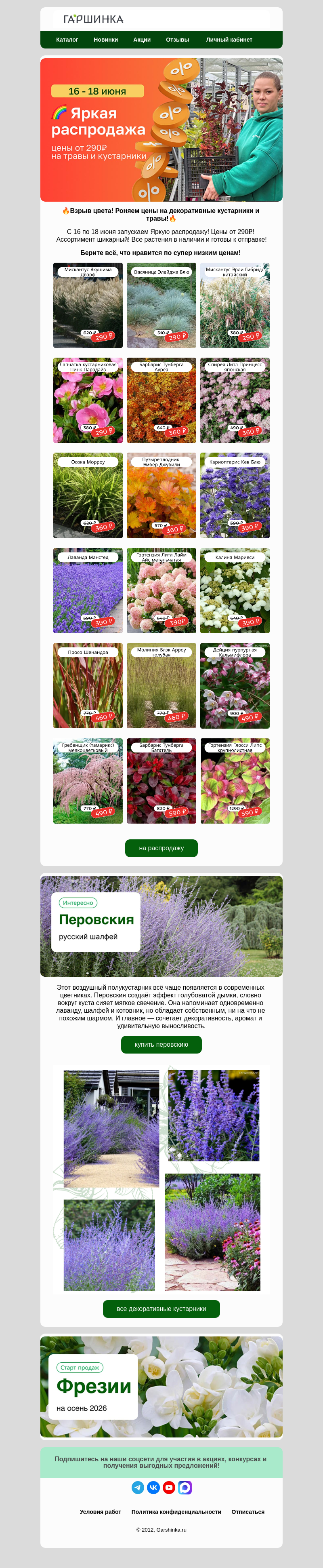 Письмо компании «Гаршинка.ру» на тему «🔥Роняем цены на 🌈Яркой распродаже!»