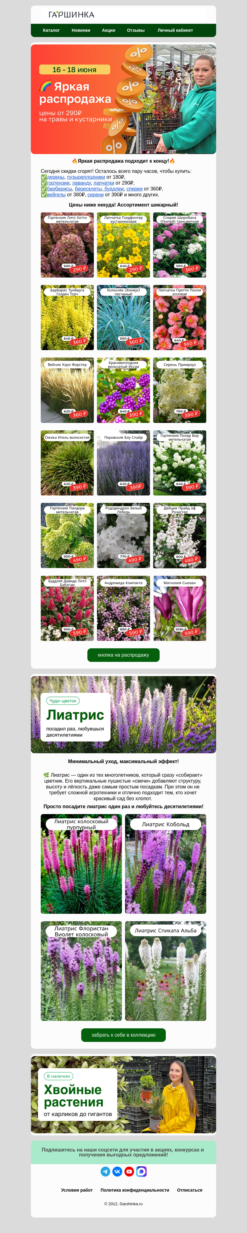 Письмо компании «Гаршинка.ру» на тему «🏃Успевайте! Скидки сгорят сегодня!🔥»