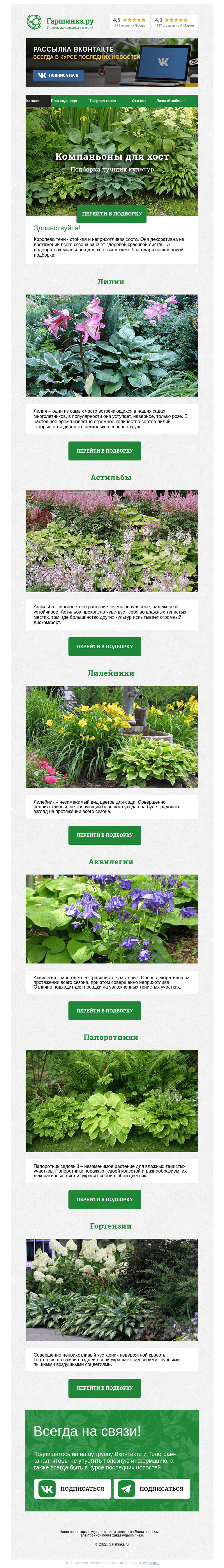 Письмо компании «Гаршинка.ру» на тему «🌸🌱🌼 Растения - компаньоны для хост»