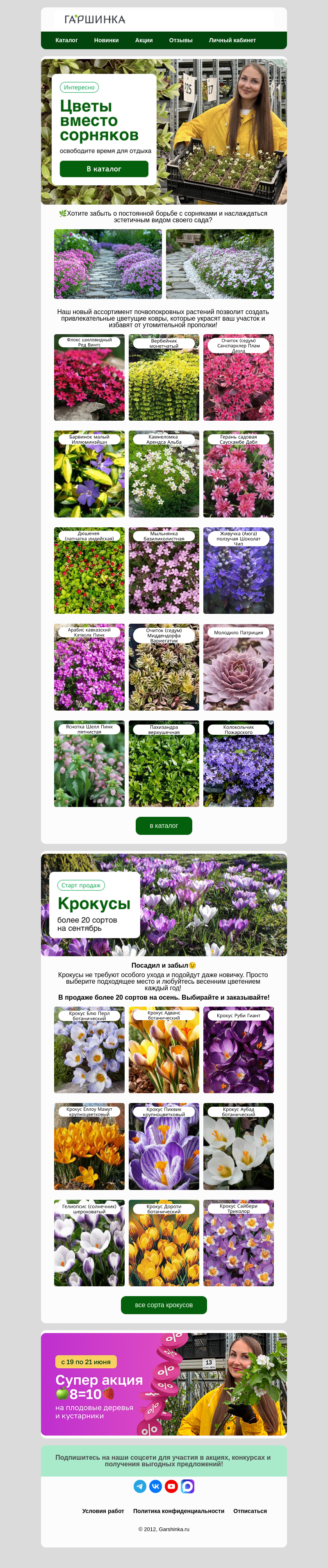 Письмо компании «Гаршинка.ру» на тему «🌿Устали полоть?! Новинки почвопокровных растений в наличии!»