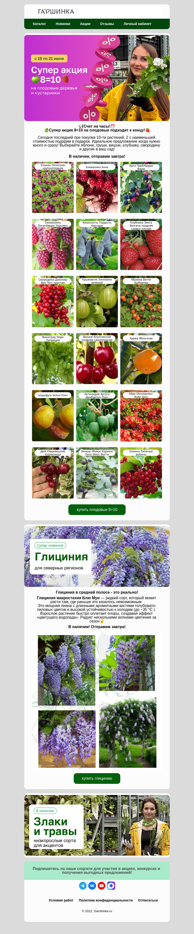 Письмо компании «Гаршинка.ру» на тему «📢Счет на часы! 8=10 на плодовые заканчивается!⏰»