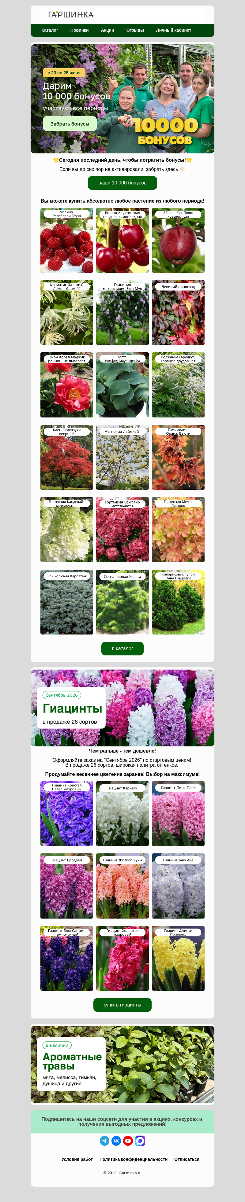 Письмо компании «Гаршинка.ру» на тему «🔥Бонусы сгорят сегодня! Успейте оплатить заказы!🔥»