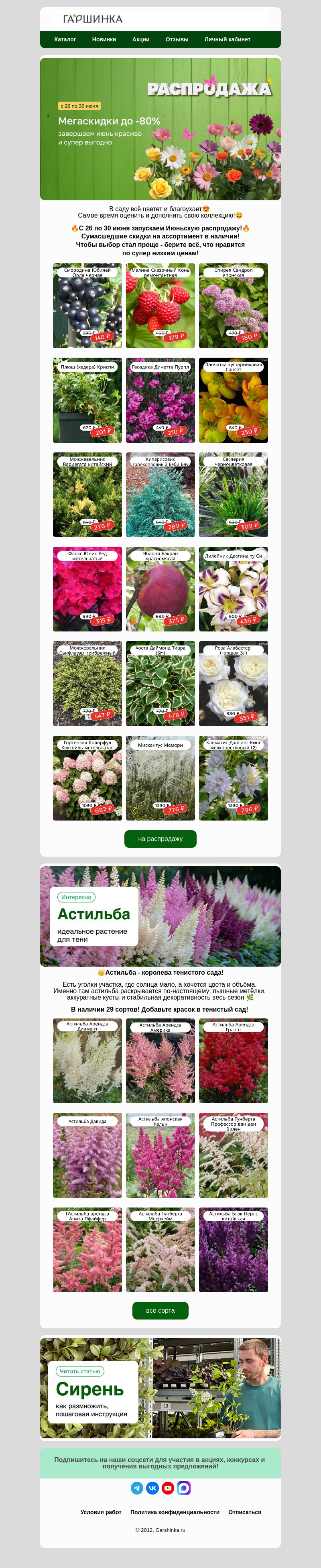 Письмо компании «Гаршинка.ру» на тему «☀️Июньская распродажа! Цены ниже некуда!😲»