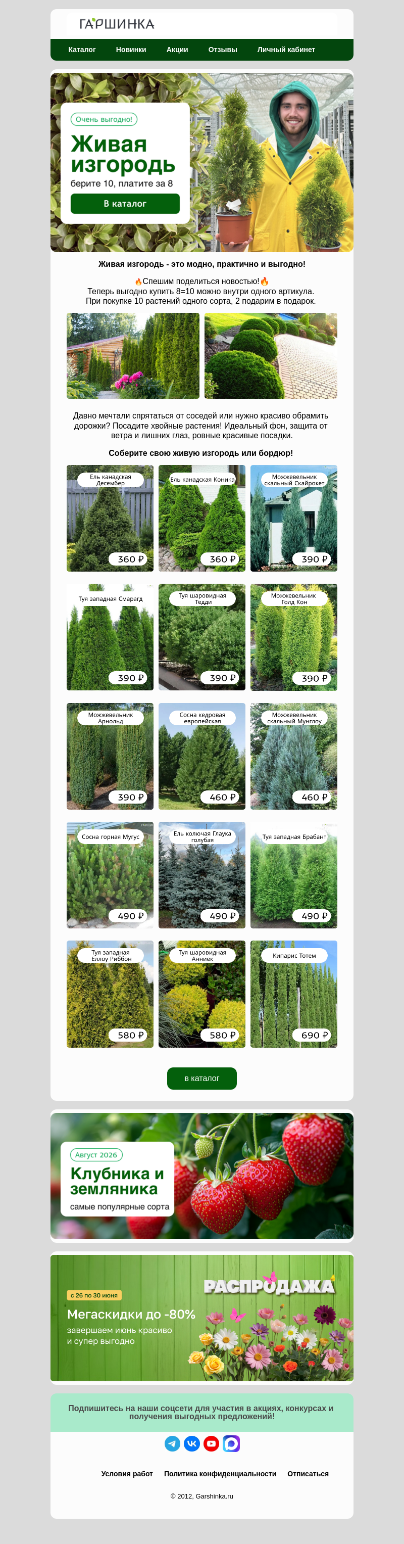 Письмо компании «Гаршинка.ру» на тему «🌲Соберите свою живую изгородь 8=10!»