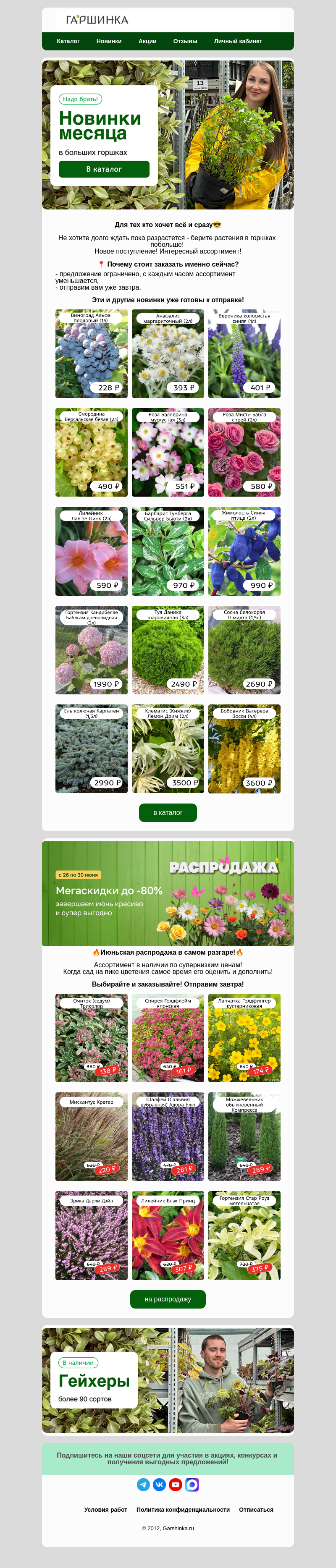 Письмо компании «Гаршинка.ру» на тему «🤩Супер новинки июня! Растения в больших горшках✨»